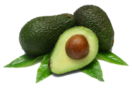 Avocado Fruit