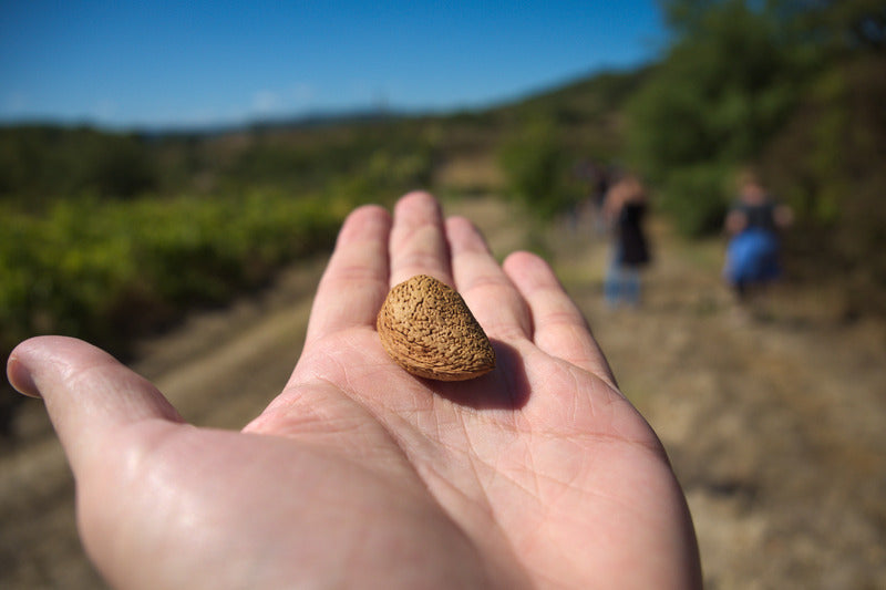 Do Canadian-Grown Almonds Exist?