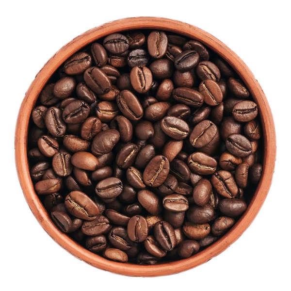 Dark Roast vs. Light Roast Coffee Beans: Which Should You Choose?