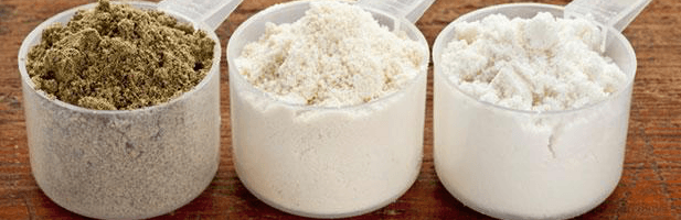 Which is the Best Vegan Protein Powder?