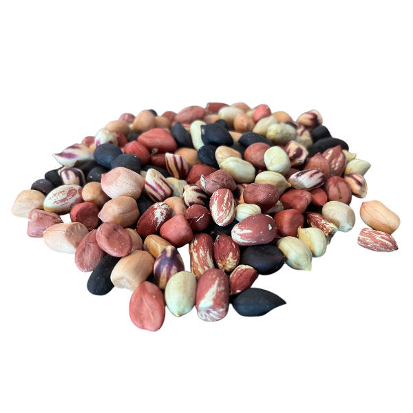 Organic Raw In-shell Canadian Rainbow Peanuts