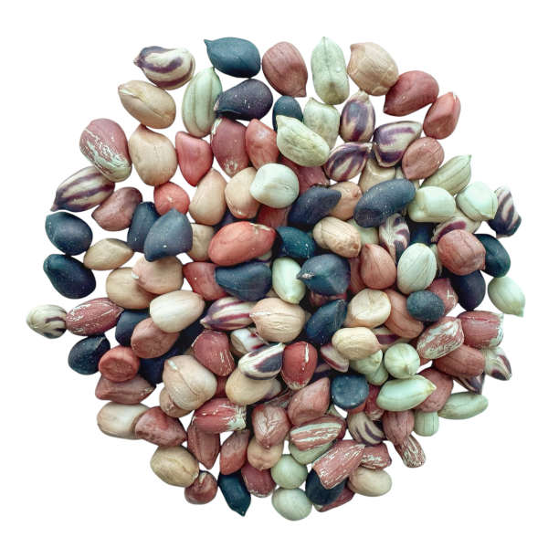 Organic Raw In-shell Canadian Rainbow Peanuts