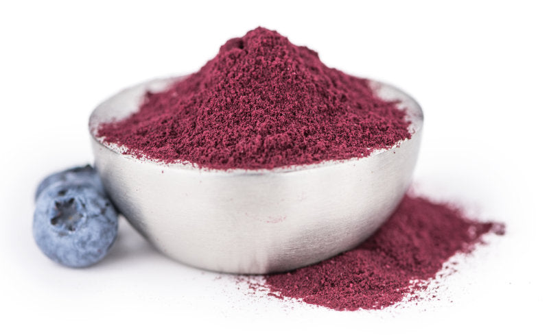 Raw Wild Blueberry Powder - U-RAAW! Health Foods