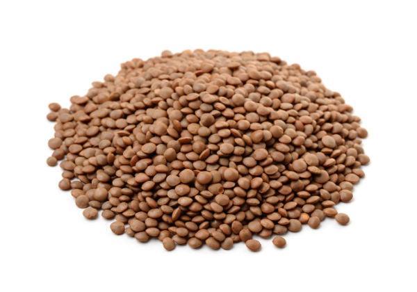 Organic Brown Lentils - U-RAAW! Health Foods